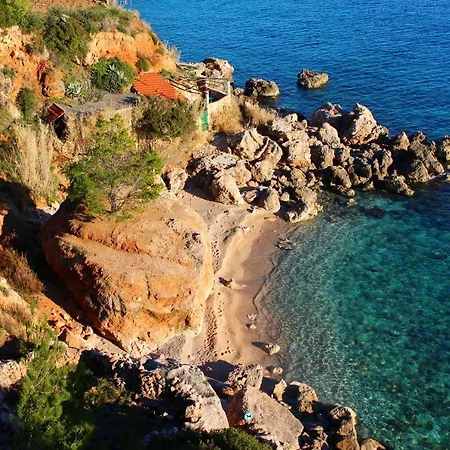 Sveta Nedilja 13753e