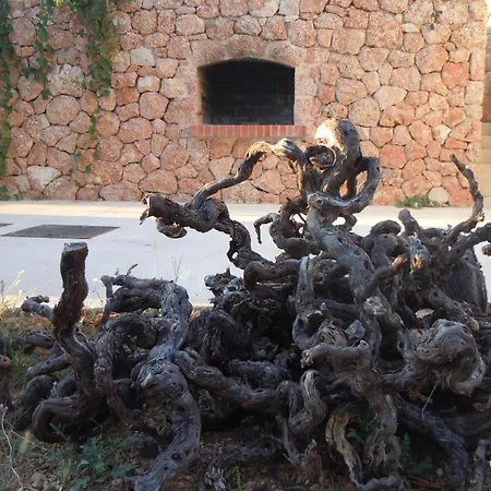 Appartement Sveta Nedilja 13753e *